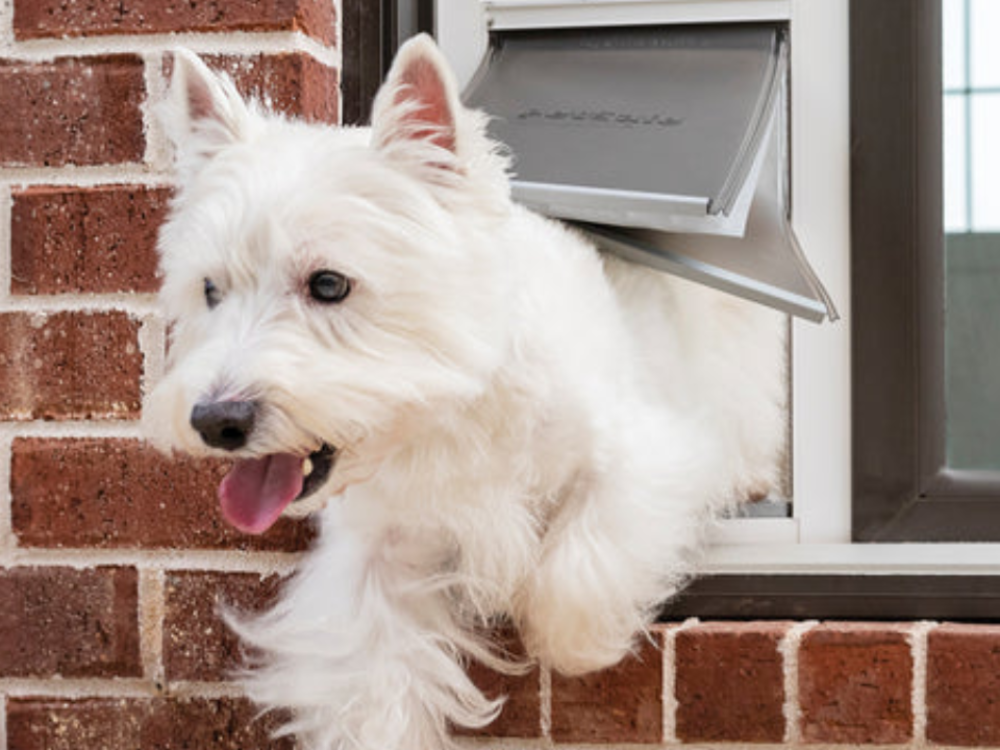 Pet Door