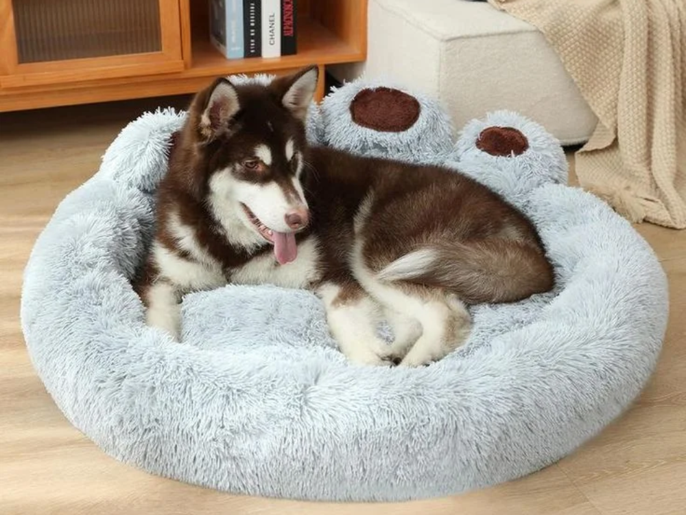 Pet Bed